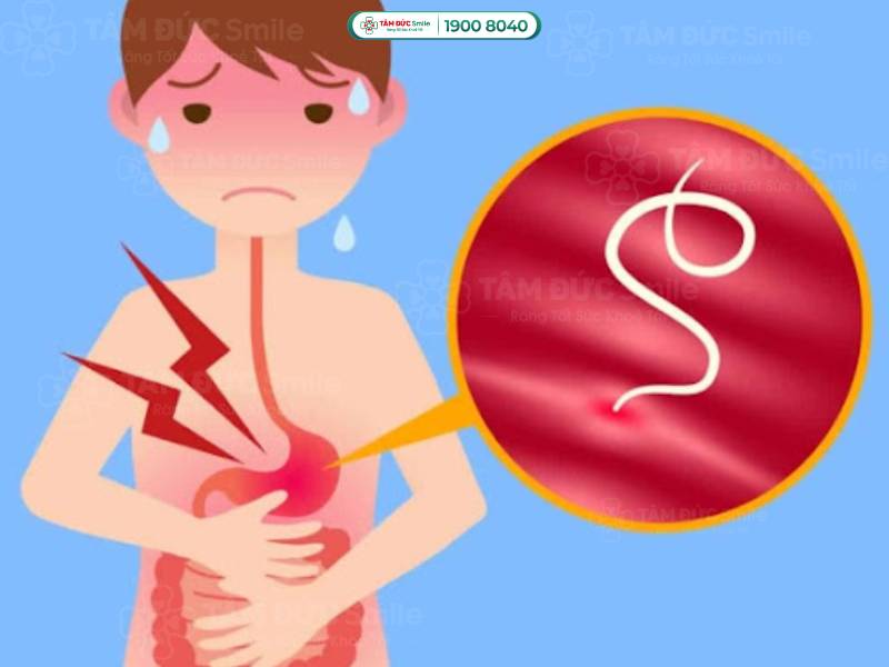 1 năm tẩy giun mấy lần