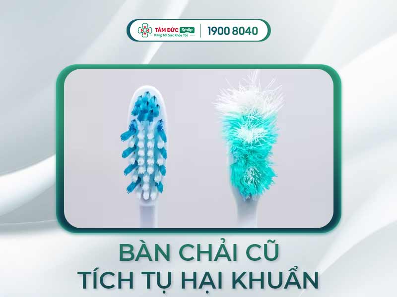 BAO LÂU NÊN THAY BÀN CHẢI ĐÁNH RĂNG MỘT LẦN? HƯỚNG DẪN CÁCH BẢO QUẢN