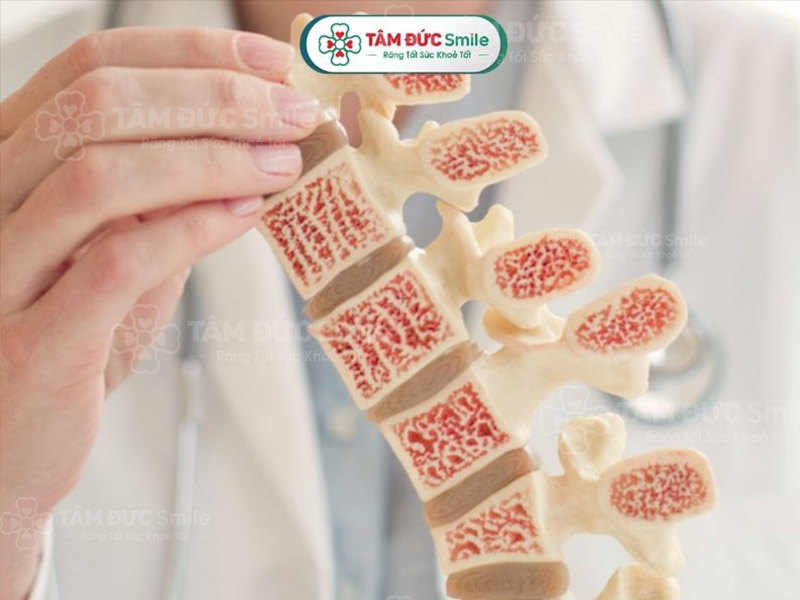 Dinh dưỡng trong đậu hũ