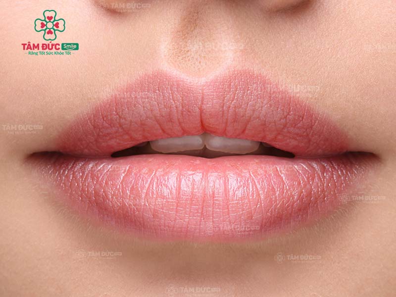 khoang miệng gồm những bộ phận nào