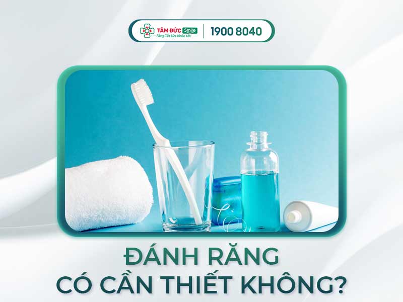 KHÔNG ĐÁNH RĂNG TRƯỚC KHI ĐI NGỦ CÓ HẠI KHÔNG? LƯU Ý CHẢI RĂNG ĐÚNG CÁCH