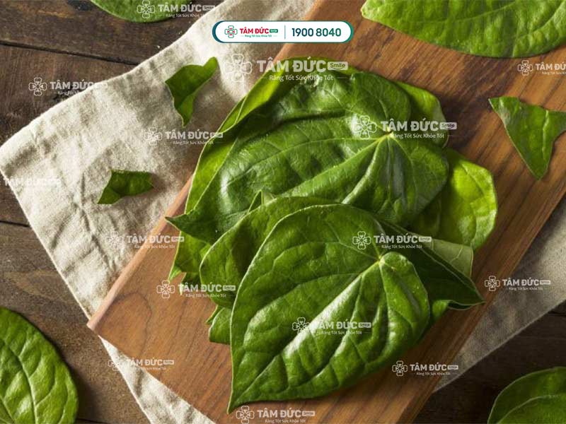 lá trầu không làm giảm đau nhức răng hiệu quả