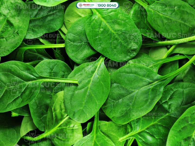 thiếu máu ăn gì tốt